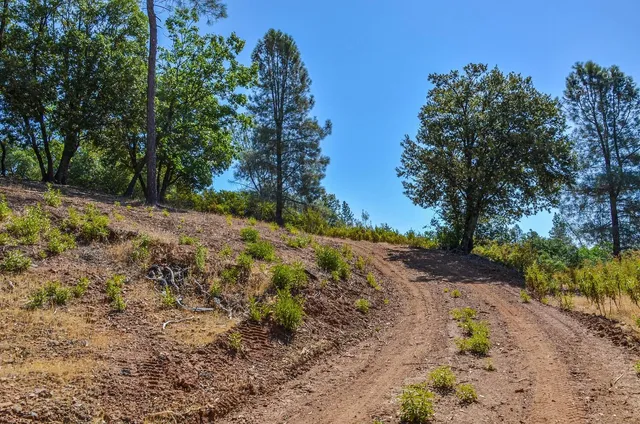 a view of an outdoor space and a yard