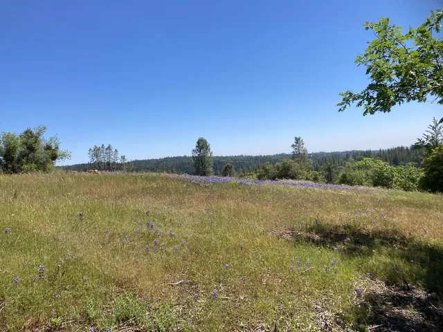 a view of yard with swimming pool and trees
