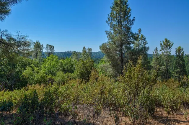 a backyard of a house with yard and trampoline