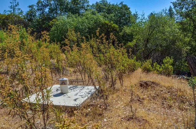 a view of a field with trees in the background