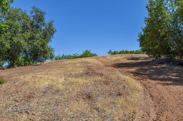 a view of a yard with trees