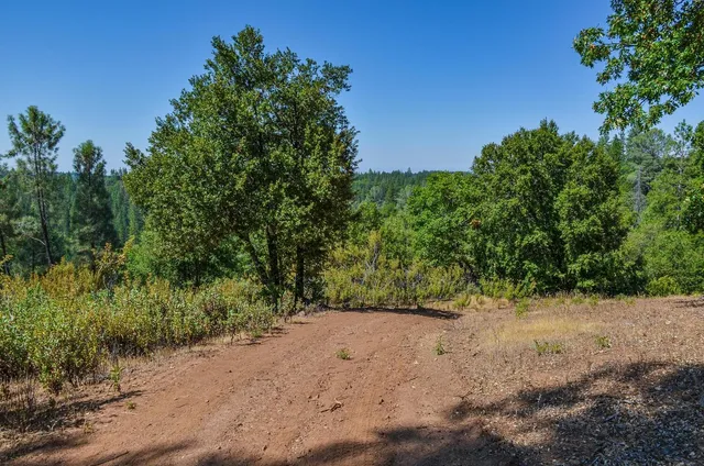 a view of a swimming pool and trees in the background