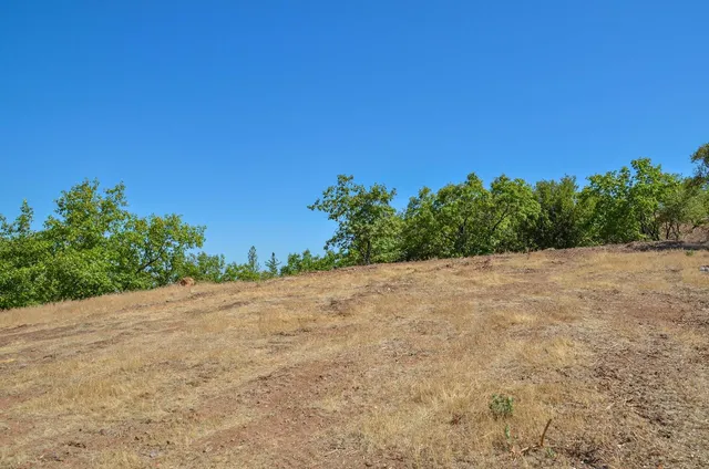 a view of yard with green space
