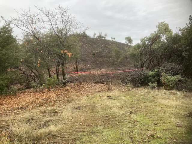 a view of outdoor space and a yard