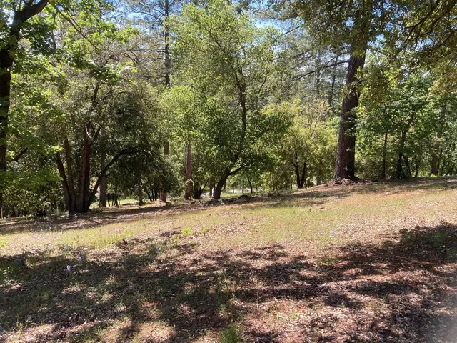 an aerial view of a forest with houses