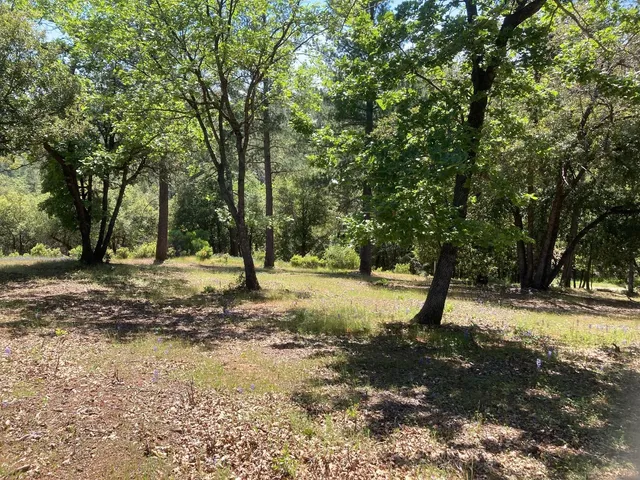 $119,000 | 16688 Sonshine Lane, Sutter Creek, CA 95685