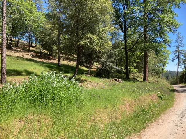 $119,000 | 16688 Sonshine Lane, Sutter Creek, CA 95685