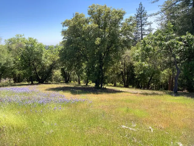 $119,000 | 16688 Sonshine Lane, Sutter Creek, CA 95685