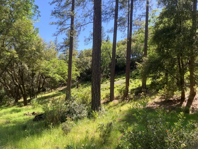 $119,000 | 16688 Sonshine Lane, Sutter Creek, CA 95685