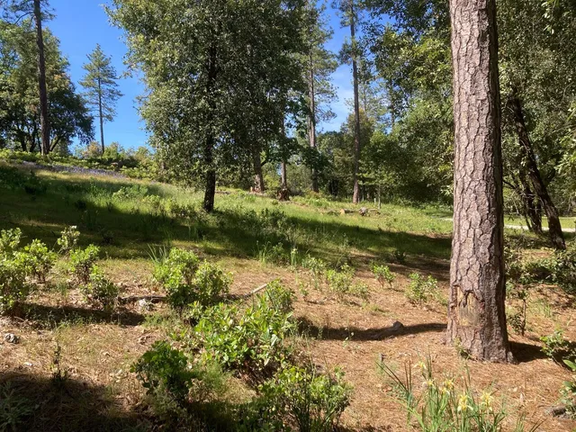 $119,000 | 16688 Sonshine Lane, Sutter Creek, CA 95685