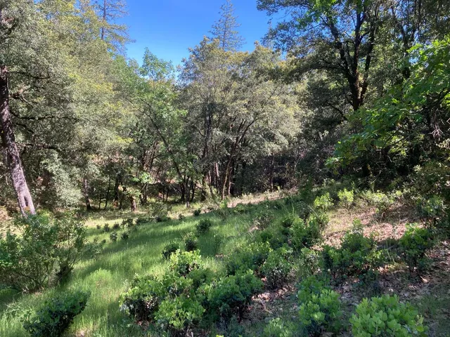 $119,000 | 16688 Sonshine Lane, Sutter Creek, CA 95685