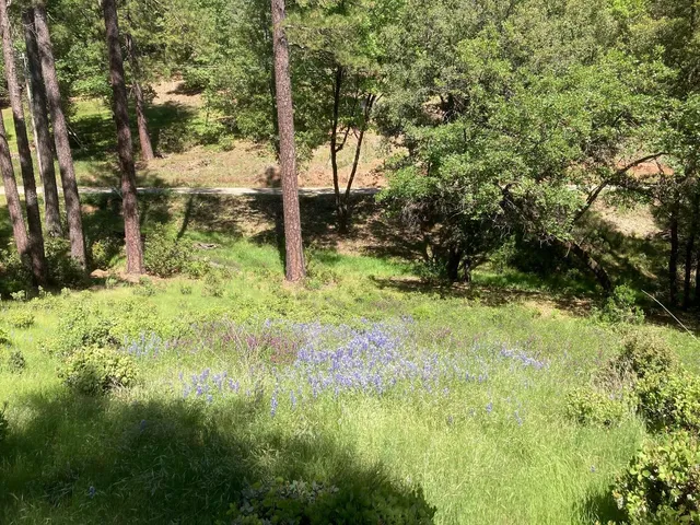 $119,000 | 16688 Sonshine Lane, Sutter Creek, CA 95685