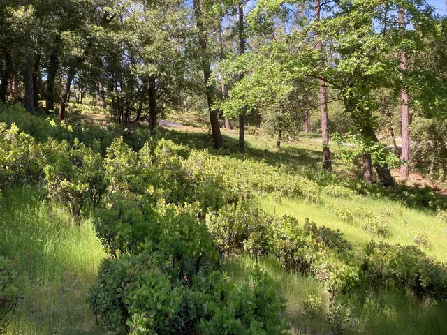 $119,000 | 16688 Sonshine Lane, Sutter Creek, CA 95685