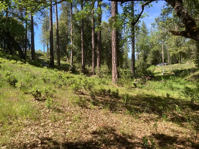 $119,000 | 16688 Sonshine Lane, Sutter Creek, CA 95685