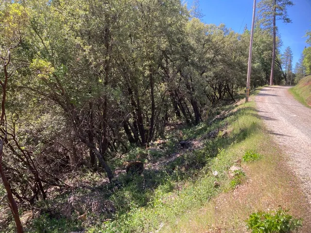 $119,000 | 16688 Sonshine Lane, Sutter Creek, CA 95685