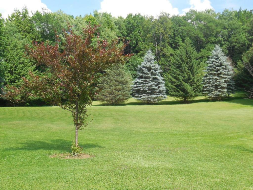 283 Midland Road Afton, NY 13813 - Photo 3 of 16