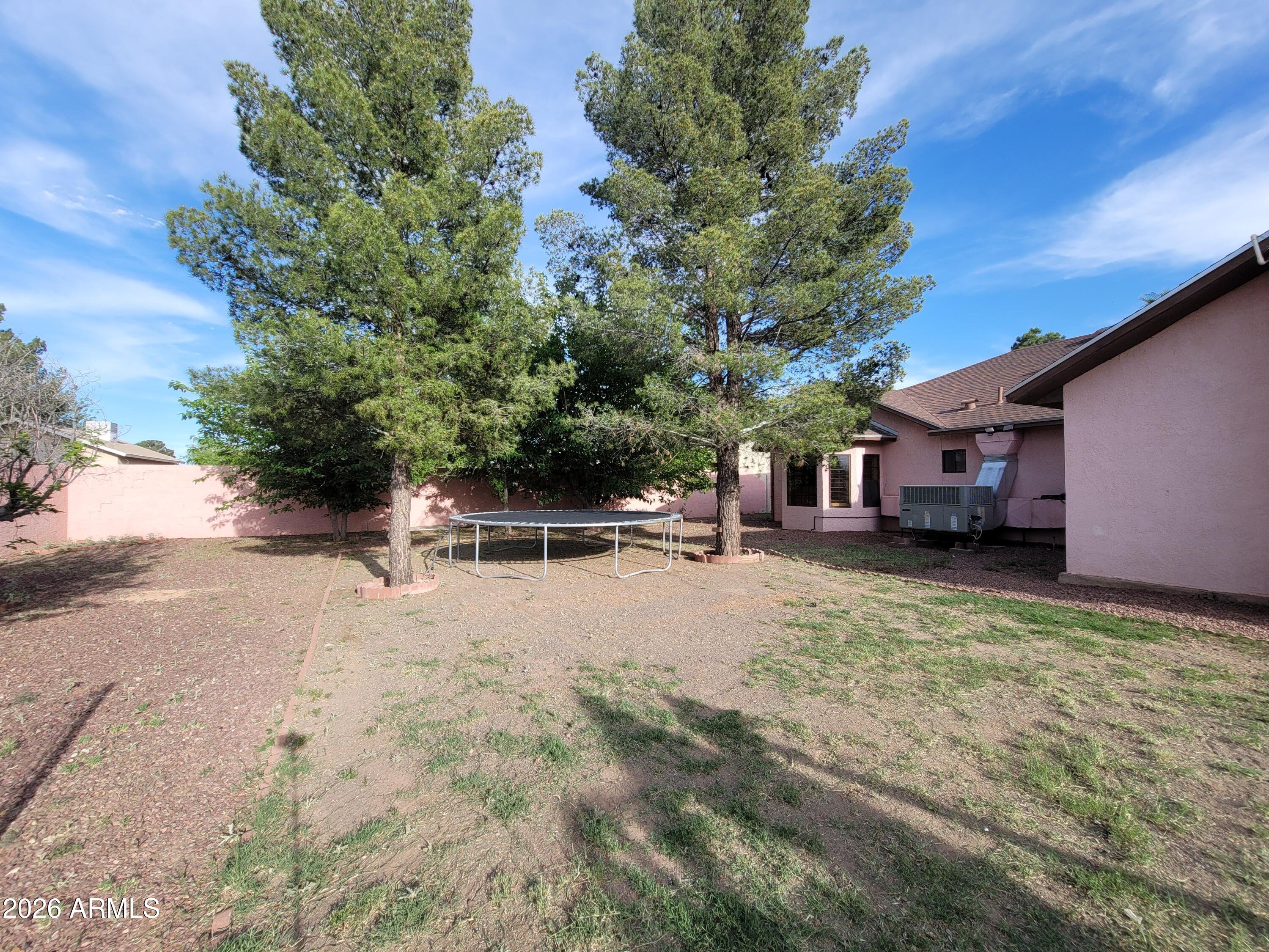 3010 11th Street Douglas, AZ 85607 - Photo 38 of 48 26 backyard03