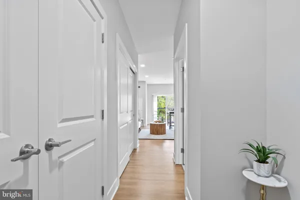 a view of a hallway with wooden floor and a potted plant