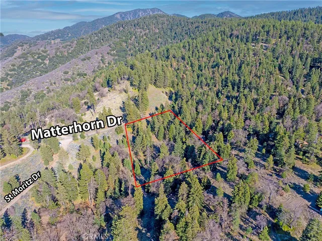 a view of outdoor space with lots of plants