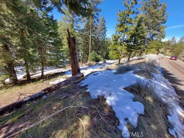 a view of a yard with trees