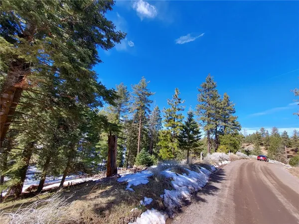 a view of a street with a tree