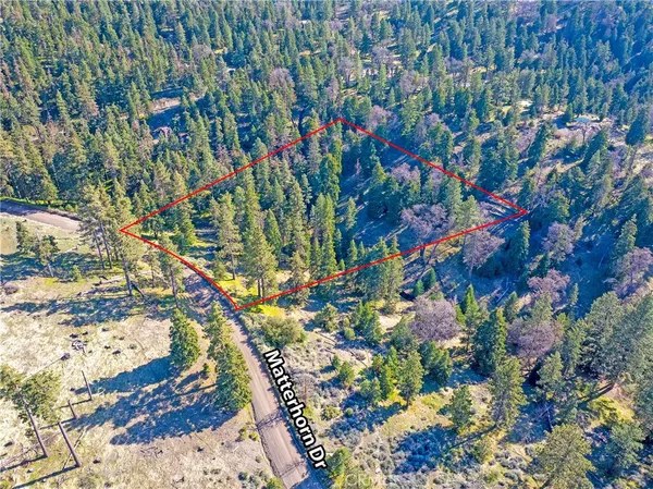 a backyard of a house with a tree