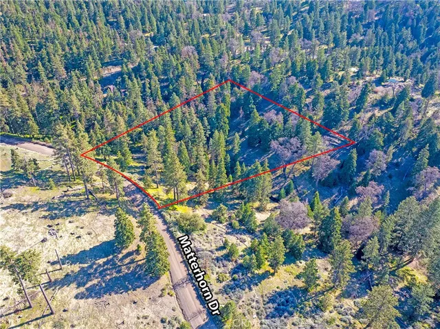 a backyard of a house with a tree