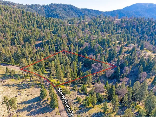 a view of a bunch of flowers