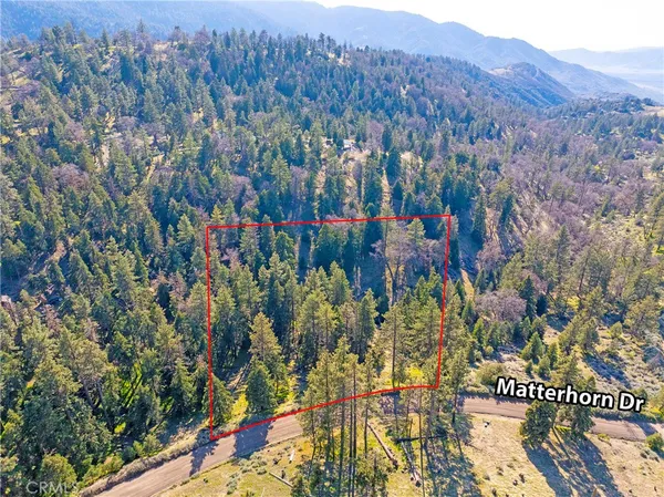a view of a city with lush green forest