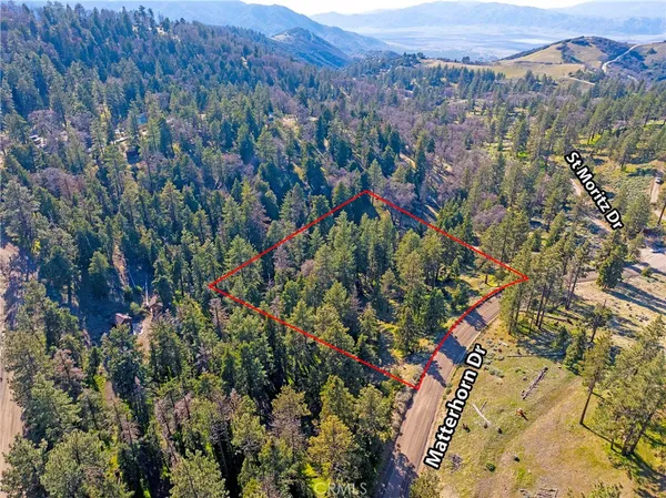 a view of a city with lush green forest
