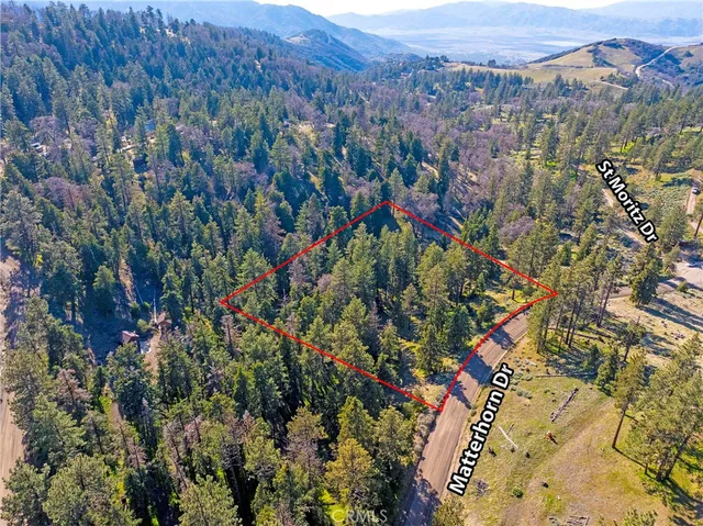 a view of a city with lush green forest
