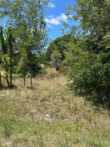 a view of a yard with a tree