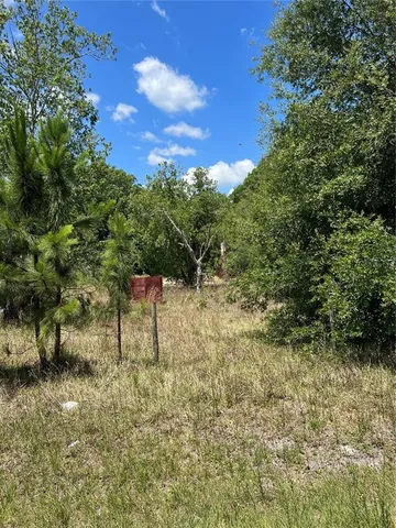 a view of outdoor space and trees