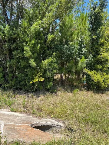 a view of a yard with plants and brick wall