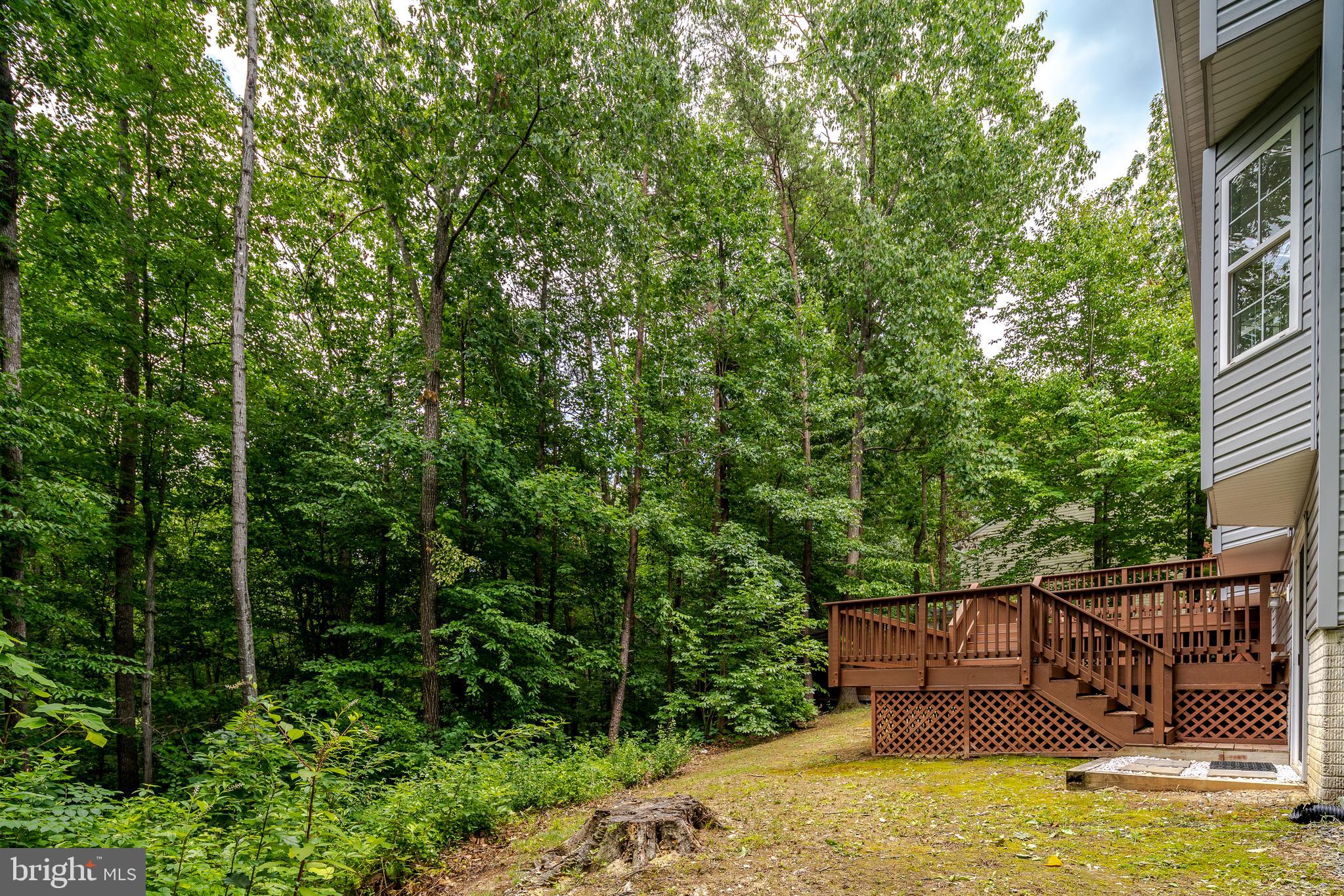 115 Eustace Road Stafford, VA 22554 - Photo 43 of 50
