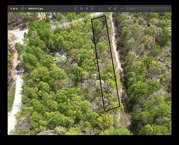 a view of a garden from a window