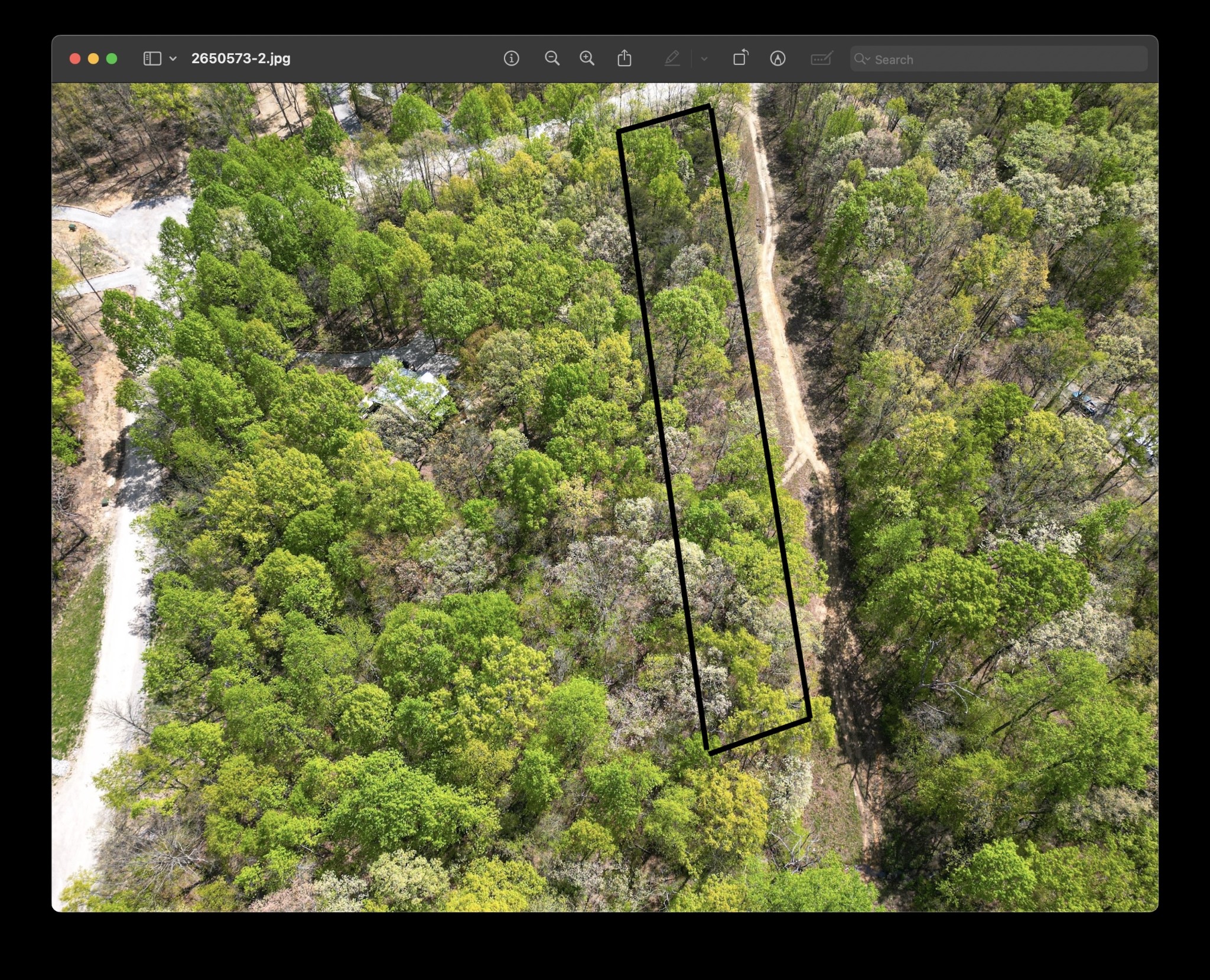 213 Sunset Blf Way Monteagle, TN 37356 - Photo 3 of 3 a view of a garden from a window