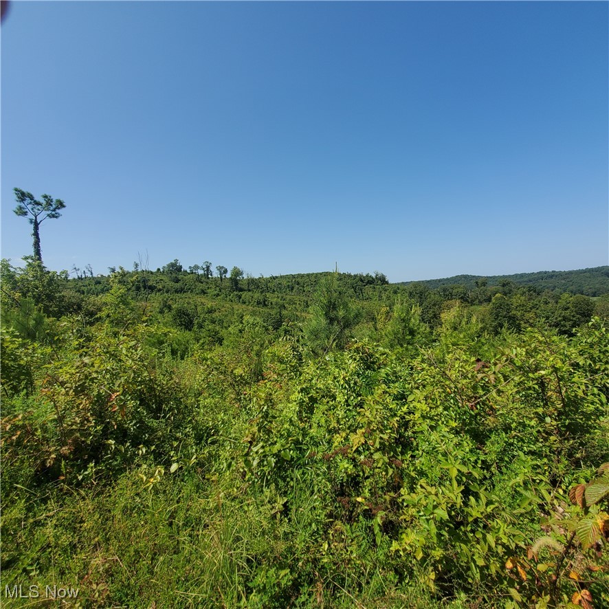 Schoolhouse Road Leon, WV 25123 - Photo 12 of 22 View of woods