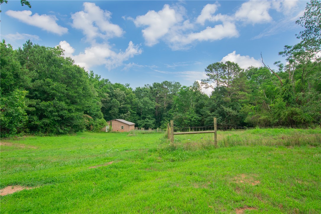 200 Chenault Road Townville, SC 29689 - Photo 39 of 47 A spacious green pasture framed by verdant trees, offering a tranquil natural setting.