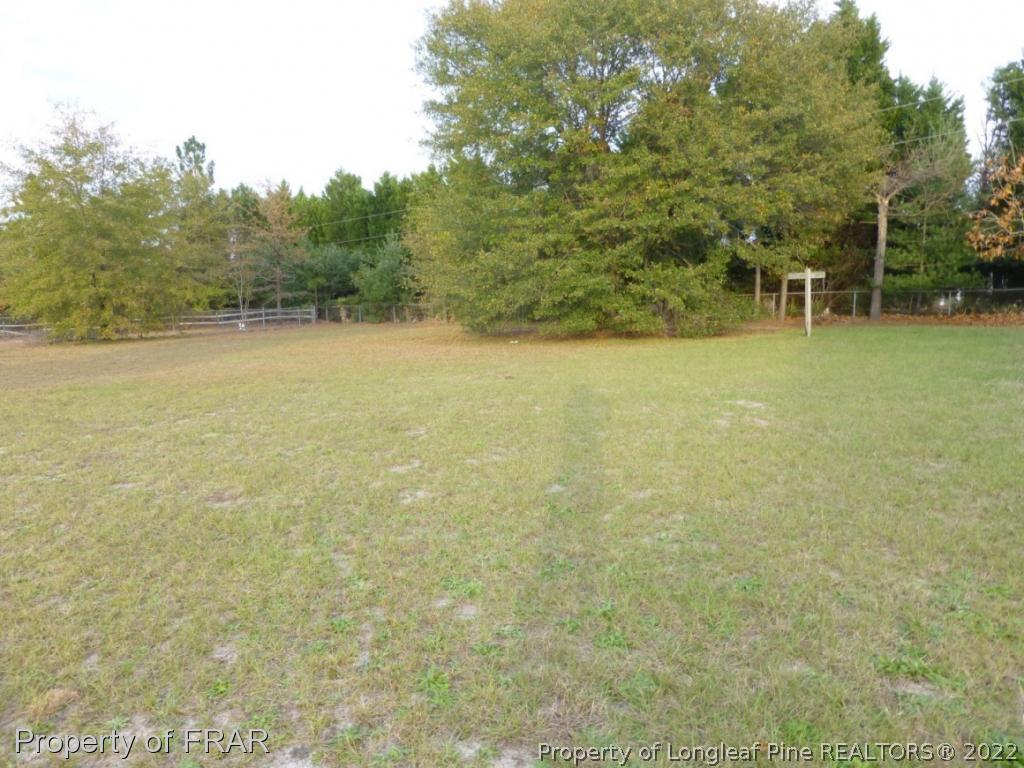 541 Camden Road Raeford, NC 28376 - Photo 24 of 24 a view of a yard with a tree