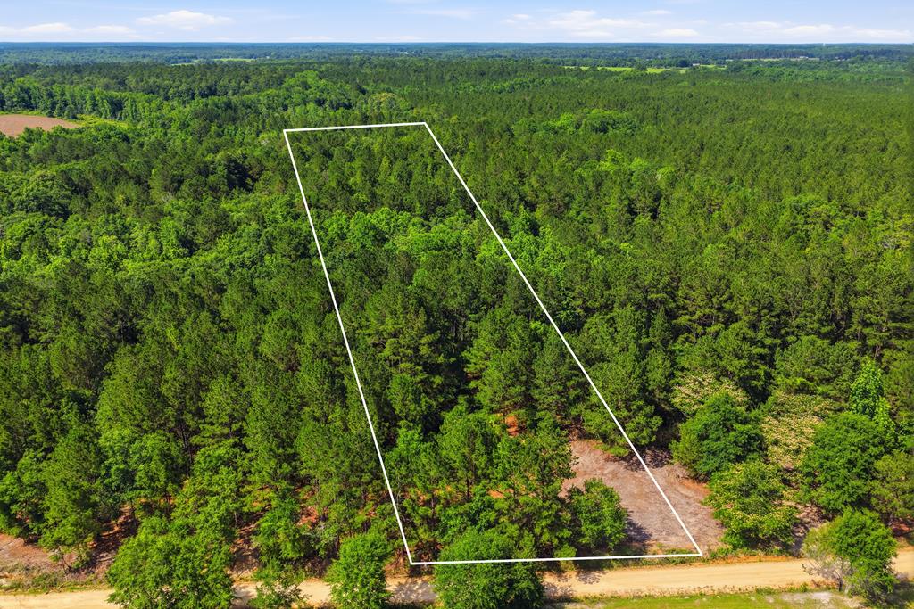 Lot #4 Crosby Clark Road Opp, AL 36467 - Photo 1 of 9 Main View