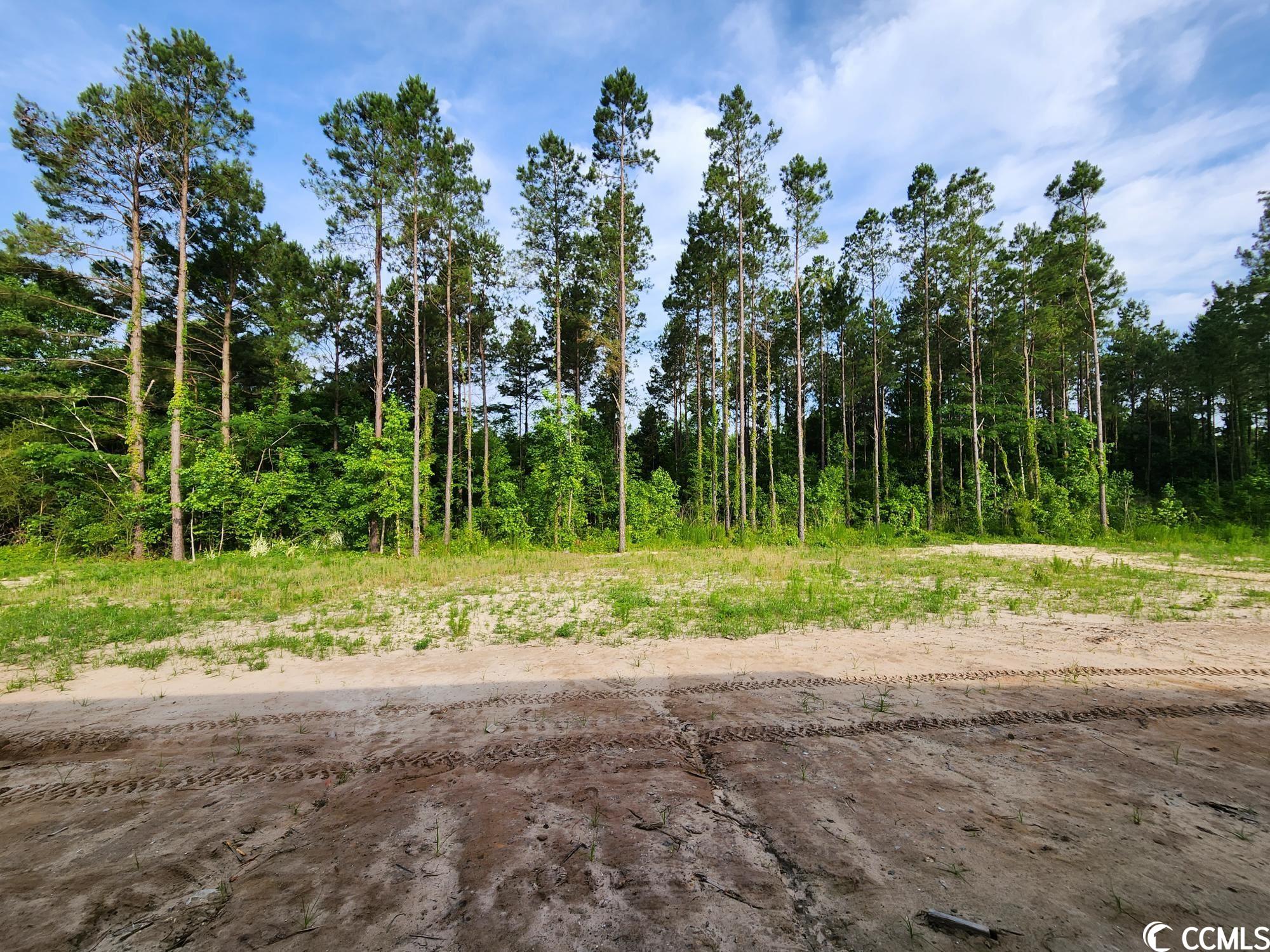 845 Lawson Road Loris, SC 29569 - Photo 4 of 20 Gallery Image 4