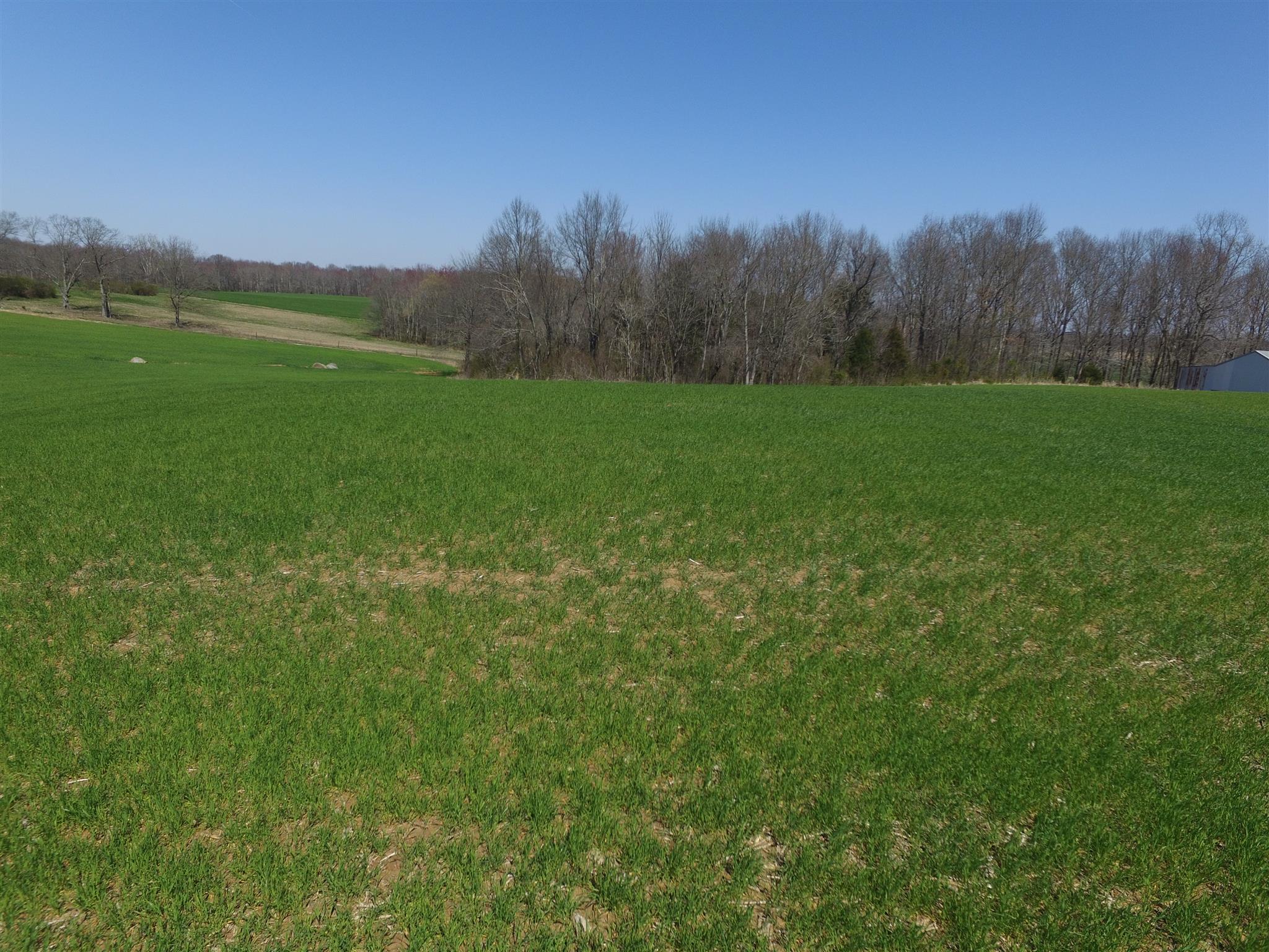5 East Carter Road Portland, TN 37148 - Photo 5 of 11 a view of a grassy field with trees in the background
