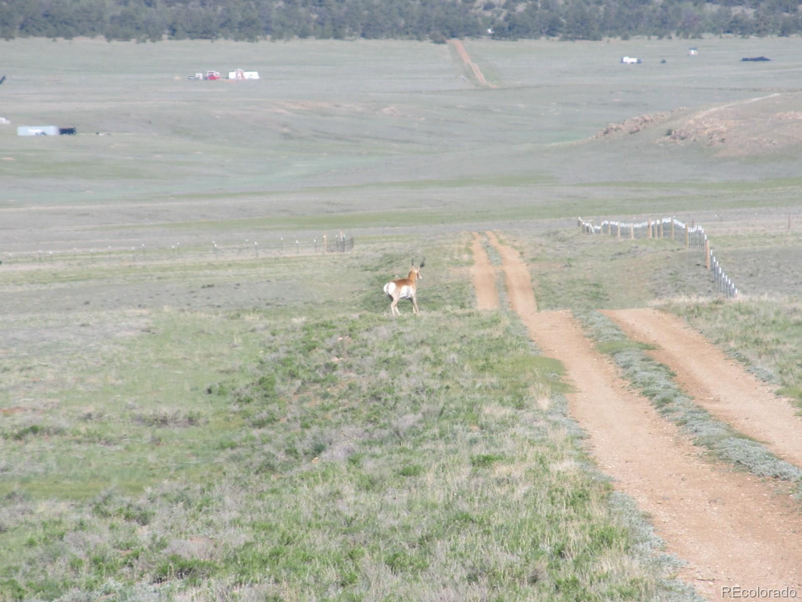 4712 Park Road Hartsel, CO 80449 - Photo 3 of 7 Gallery Image 3