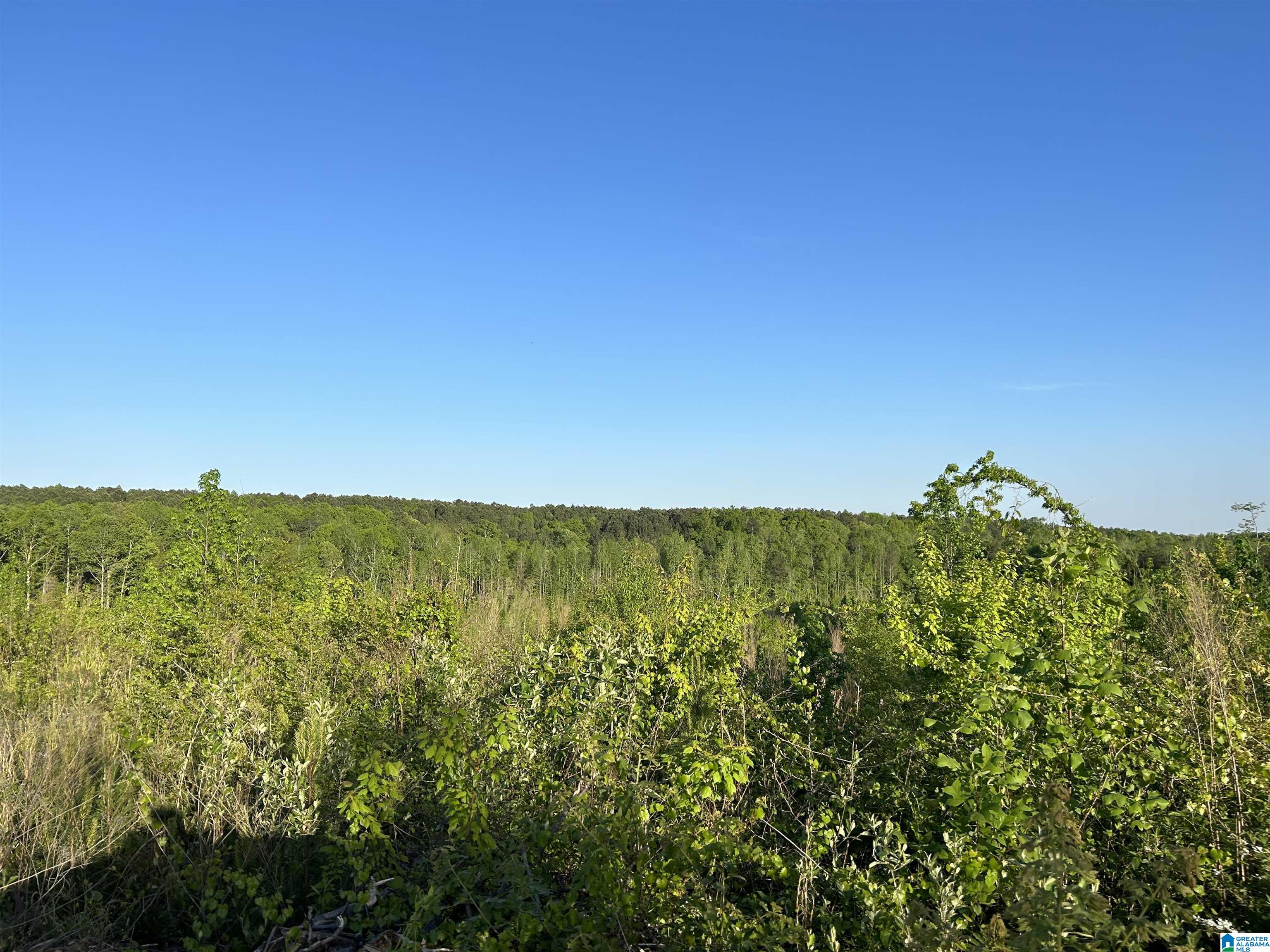 639 County Road, Unit TRACT 3 18 Roanoke, AL 36274 - Photo 2 of 8