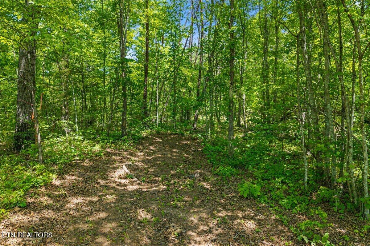 215 Citico Road Vonore, TN 37885 - Photo 4 of 10 02-00 Citico Rd. Lot 2-9