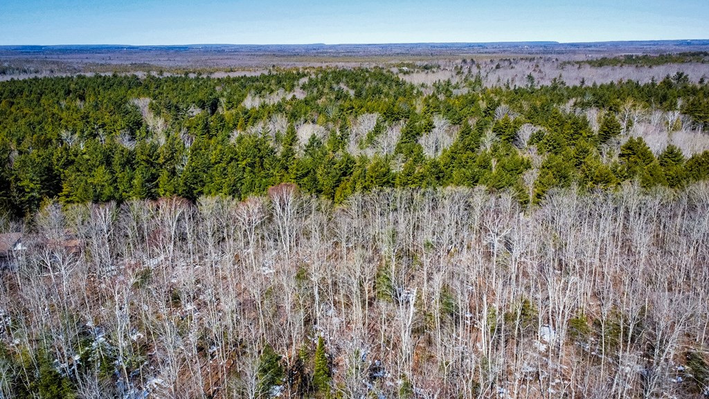 County Road Baileys Harbor, WI 54202 - Photo 9 of 11