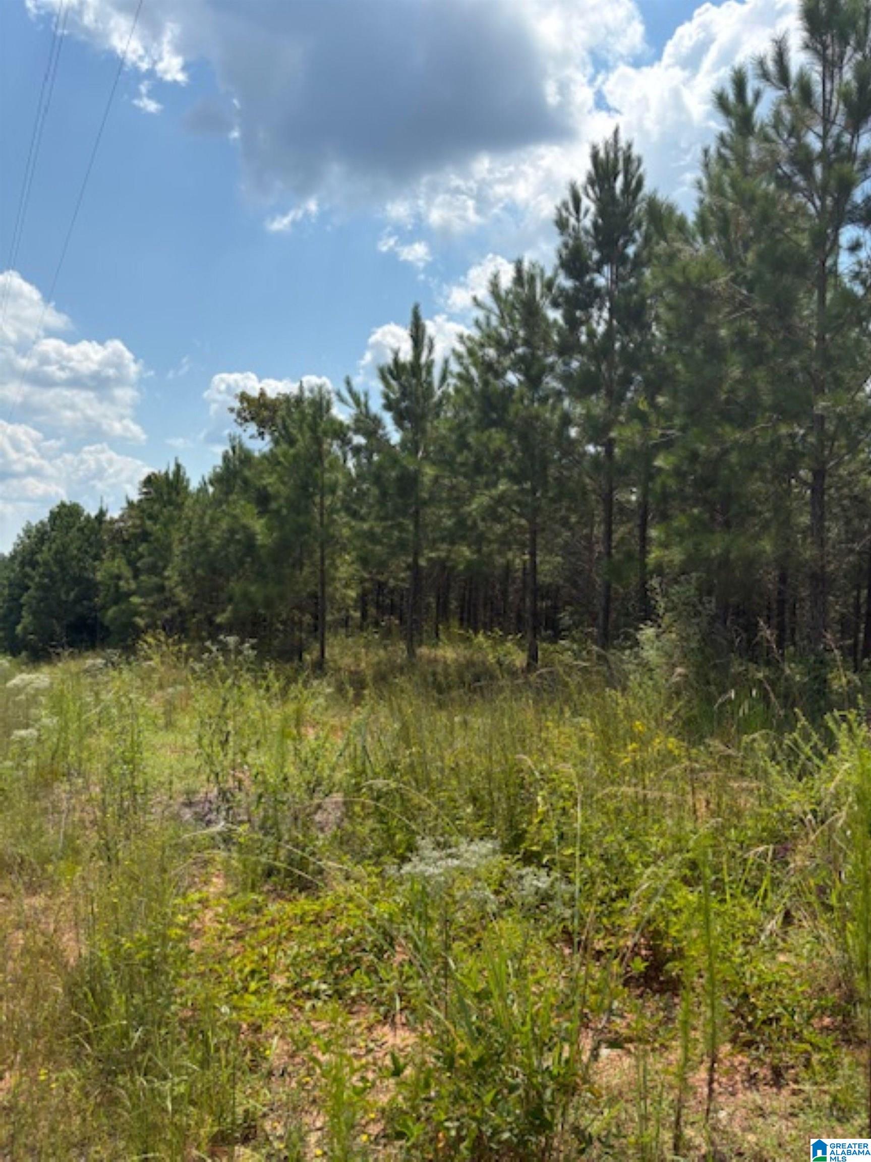 472 County Road, Unit 2 Clanton, AL 35045 - Photo 2 of 10
