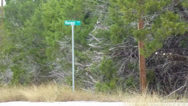 a view of a park with slide