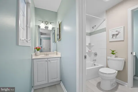 a view of a yard with a small trees